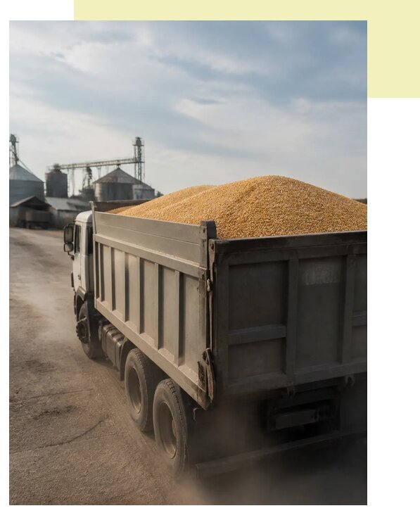 Перевозка сельхозпродукции навалом в Клинцы по цене от 3119 р. | Агросервис-Клы